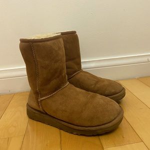 Classic short UGGs